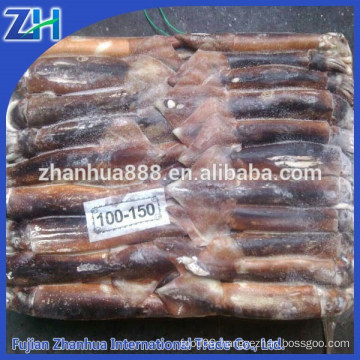 Fish Product Type and Block Shape Frozen Whole Round Squid